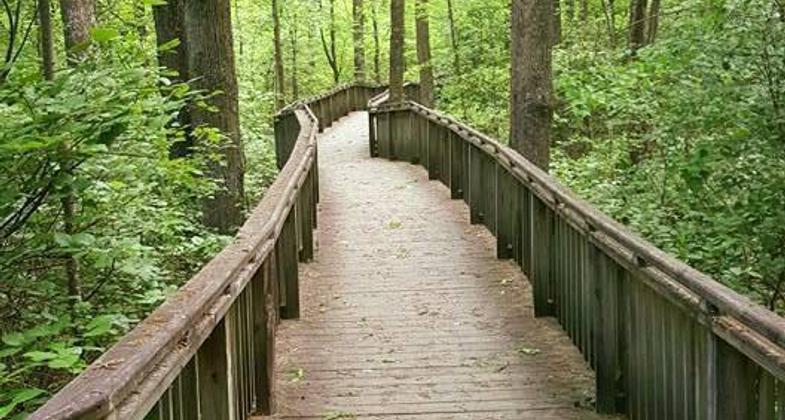 Mountain bike trail. Photo by Rob Grant.