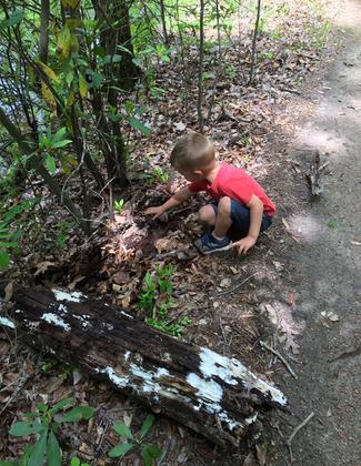 Lake Lurleen State Park’s Azalea Ridge Trail – Earth Day Activities. Photo by Tasha Simon.