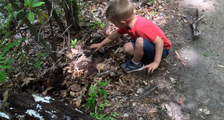 Lake Lurleen State Park’s Azalea Ridge Trail – Earth Day Activities. Photo by Tasha Simon.