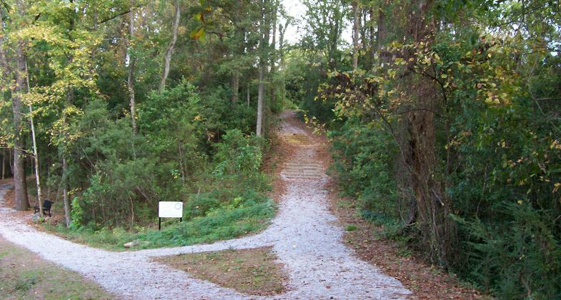 Photo by Tuscaloosa County Park and Rec.