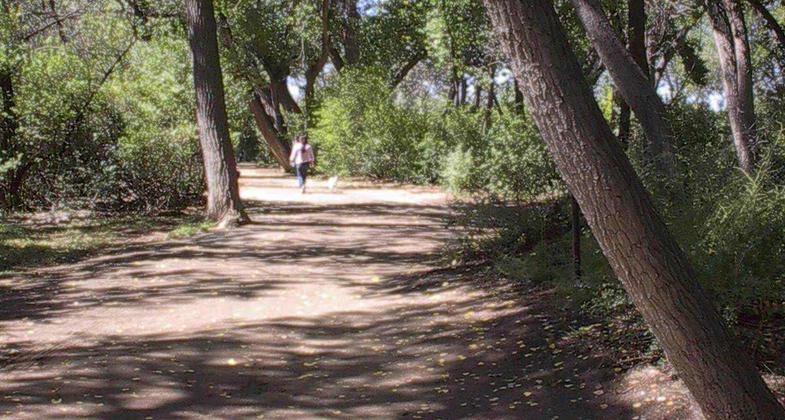 Pedestrian bridge. Photo by Jeff Bowman.