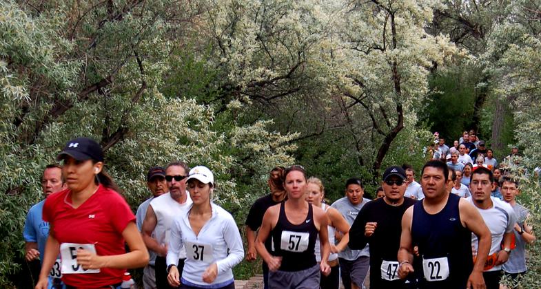 River Reach Terrace. Photo by Jeff Bowman.