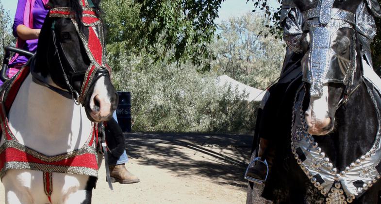 Riverfest Run. Photo by Jody Carman.