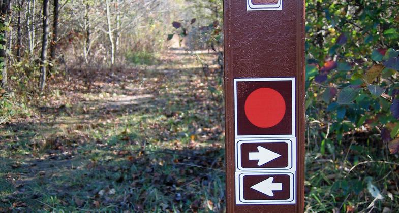 Eagle Scout project added a need bridge over an intermittent stream along the Croft Nature Trail. Photo by Lew Gorman III.