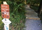 Raised Footpath on White Trail, Croft Farm Trail System. Photo by Lew Gorman III, NRT Ambassador.