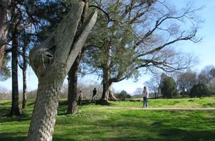 Montevallo Greenway Trail
