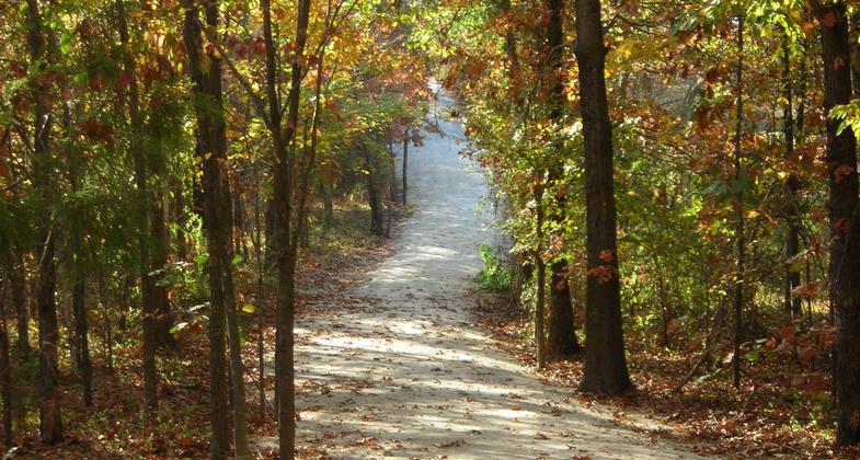 Photo by Lisa O'Brien.