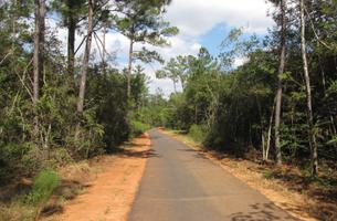 Larry and Ronna Dykes Trail