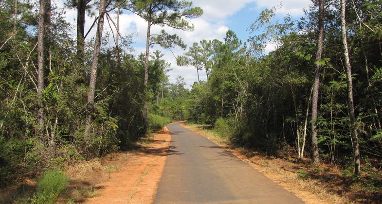 Photo by Dothan Leisure Services.