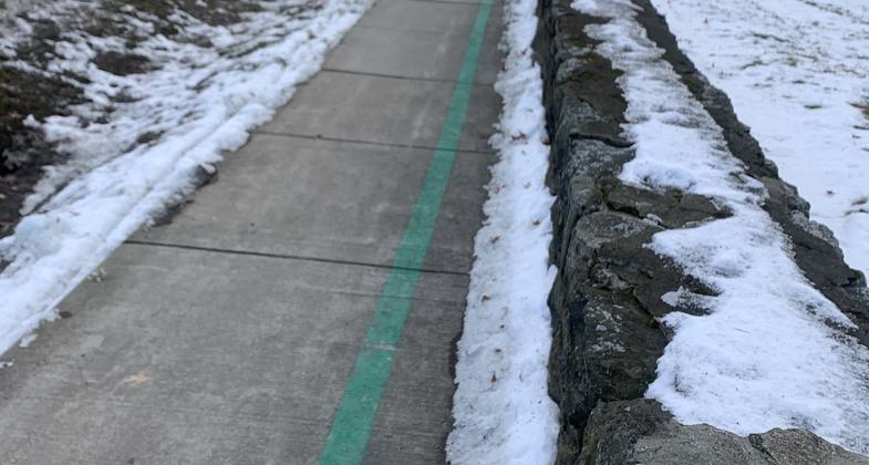 One of the 22 white oak trees known as the Waverly Oaks. Photo by Daderot.