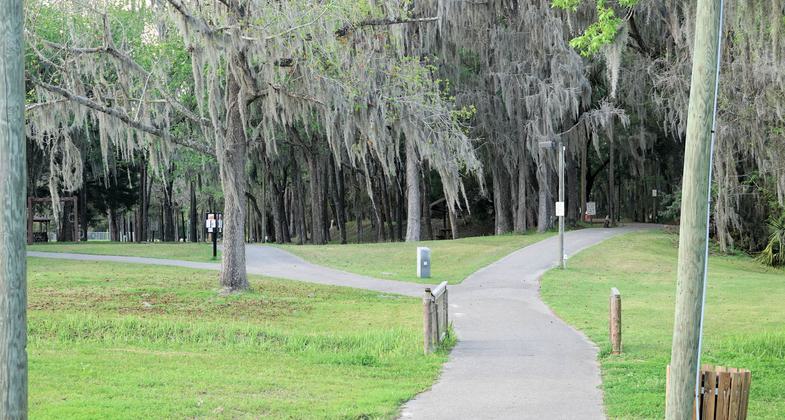 Tom Varn trail. Photo by Jim Walla.