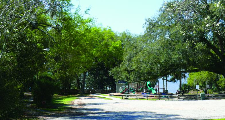 Daphne Park.