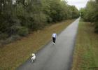 Dog walker on trail. Photo by FL Office of Greenways.