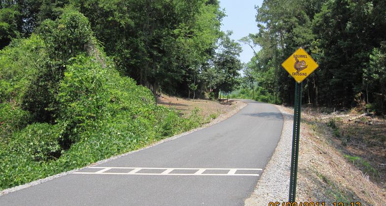 Squirrel crossing! Photo by Rob Grant.