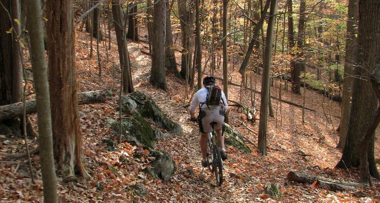Mountain biker on trail. Photo by Warriors' Path State Park.