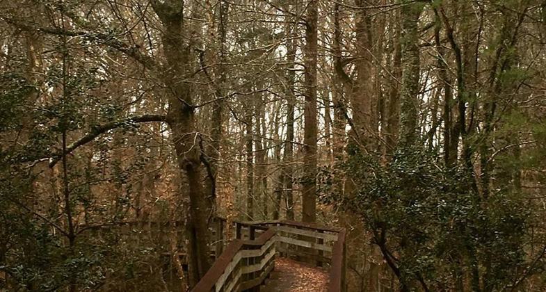 The nature trail is a nice walk through the woods. Photo by Mississippi Sought.