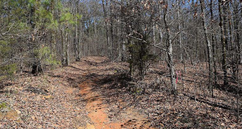 The Rocky Ridge Horse Trail along the northern side of Enid Lake, Mississippi. Photo by Fredlyfish4/wiki.