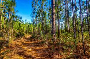 Tuxachanie Hiking Trail