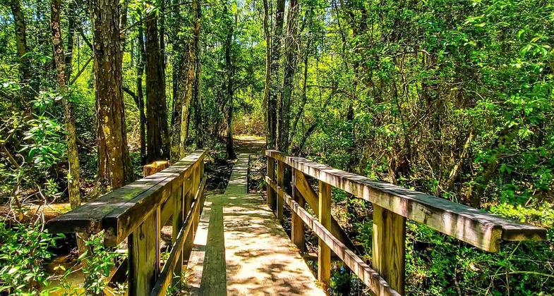 Crossing a log over a huge puddle. Photo by Trey Cranford.