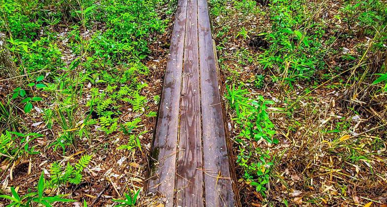 Enjoying some campfire stories on a weekend camping trip. Photo by Trey Cranford.