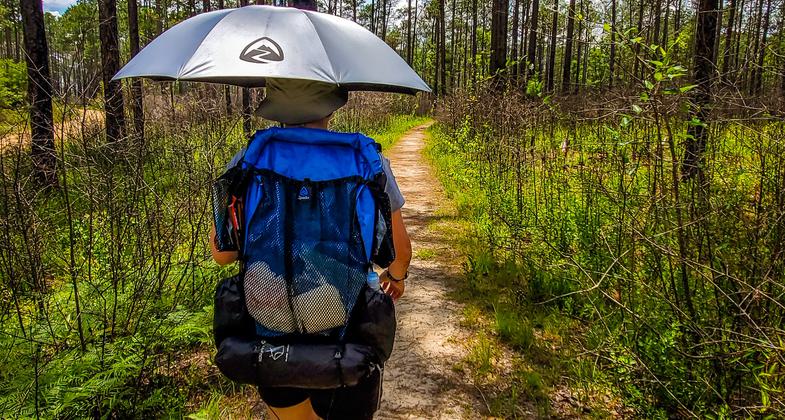Log Bridge over the Creek. Photo by Trey Cranford.