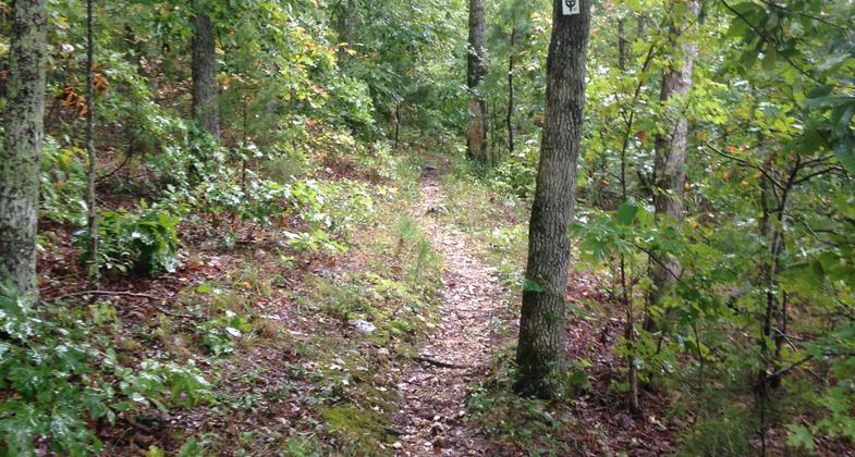 Crane Lake Trail follows part of the Marble Creek section of the Ozark Trail. Photo by Donna Kridelbaugh & John Stone.