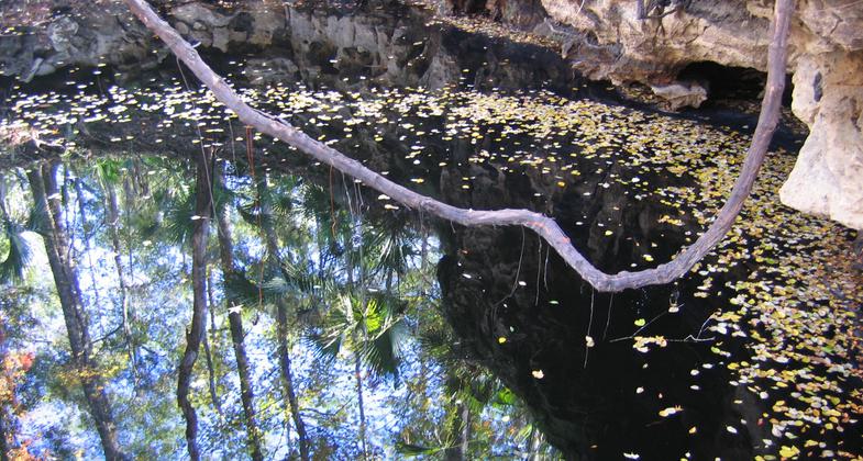 Aucilla River goes Underground