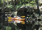 Paddling Aucilla River. Photo by David Moynihan, FWC