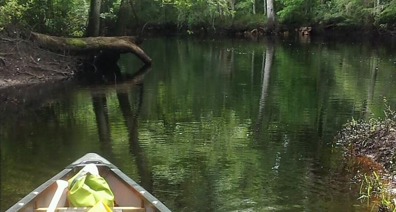 Launching on a Sunday afternoon on the Aucilla River Trail. Photo by Britney Moore.