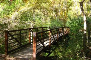 Bailey's Woods Trail