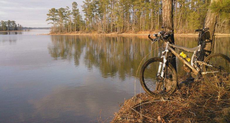 Resting at lakes edge against tree. Photo by Danny Leep