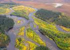 Beaver creek in fall. Photo by FWS