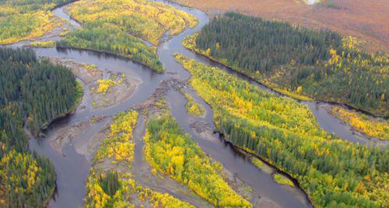 Beaver creek in fall. Photo by FWS