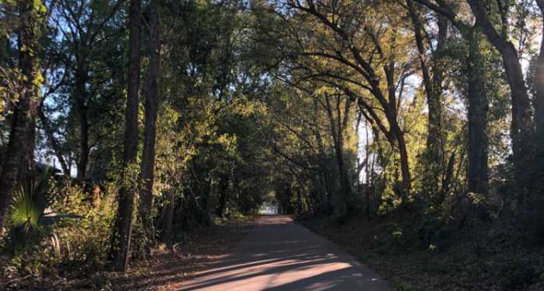 Black Hammock Trailhead. Photo by Jim Walla.