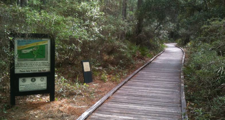 View of the boardwalks. Photo by Matthew W. Capps
