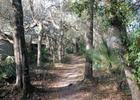 North of Snow Hill Road Trailhead. Photo by Jim Walla.