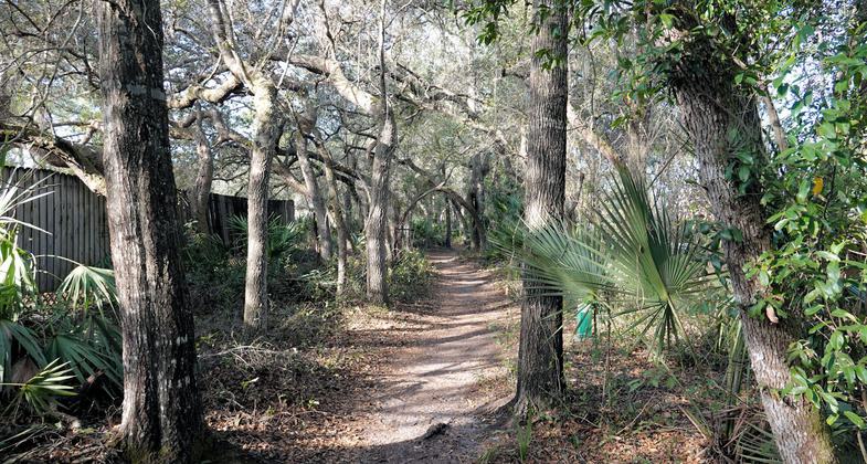 North of Snow Hill Road Trailhead. Photo by Jim Walla.