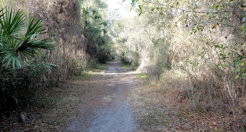 North of Snow Hill Road Trailhead. Photo by Jim Walla.