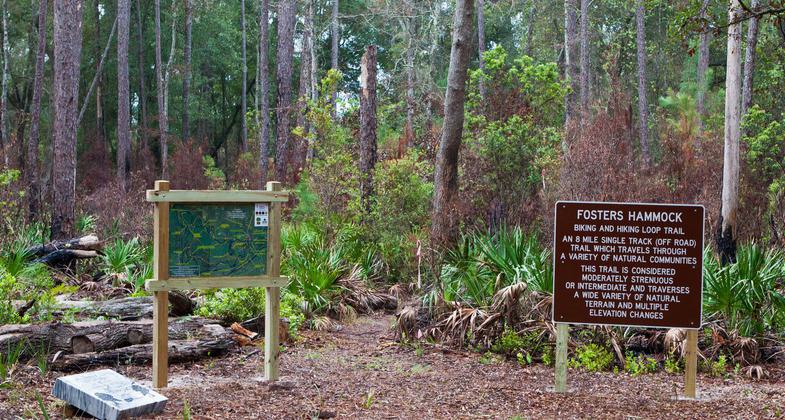 Foster's Hammock Loop Trail Head. Photo by Mick Shea