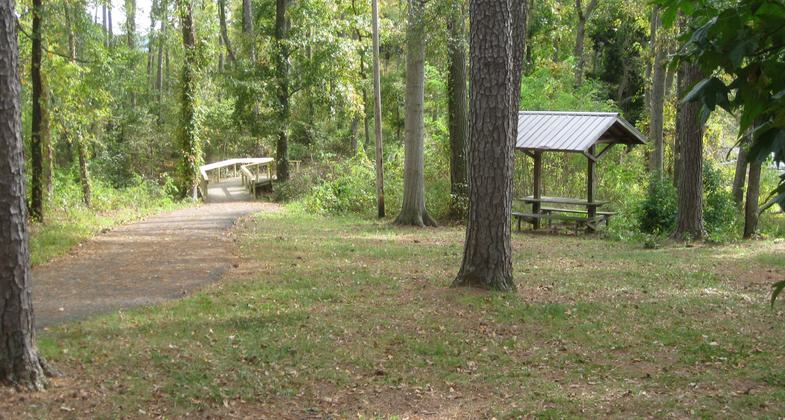 Boardwalk and rest area