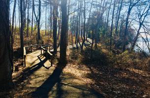 Goose Pond Colony Nature and Walking Trail