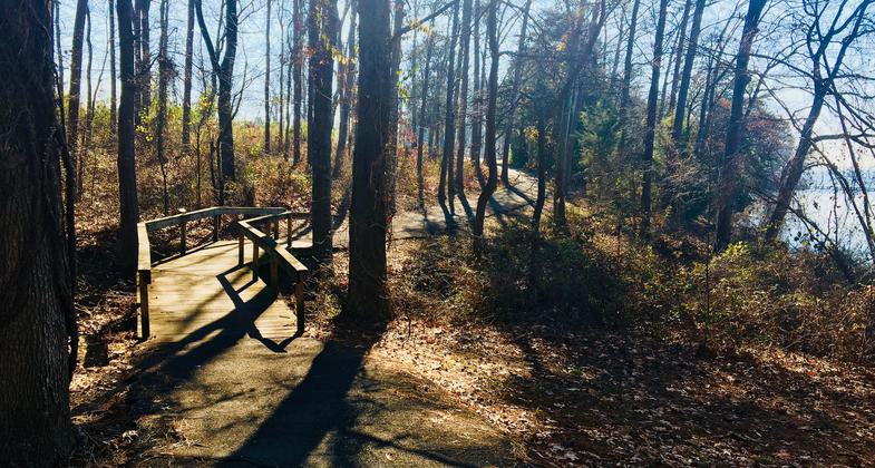 2020 NRT Photo Contest Winner - Artistic Merit. Photo by Donna Kridelbaugh. Photo by Jim Olyniec
