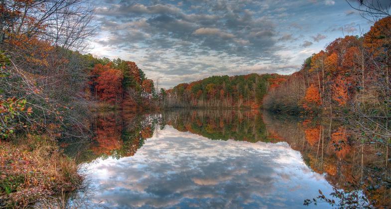 Photo by Mark Woolridge.