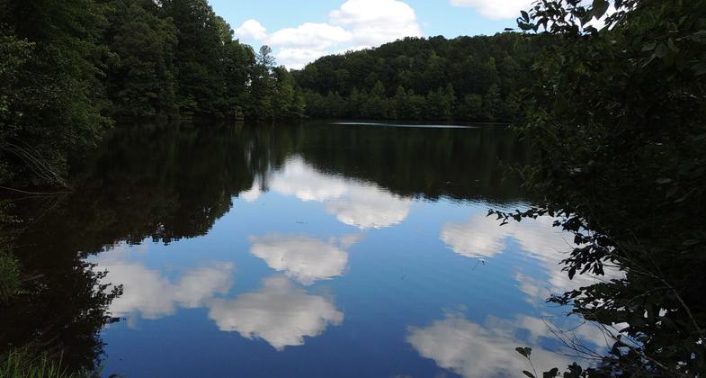 Winter at Little Mulberry Park. Photo by Glen Wilburn.