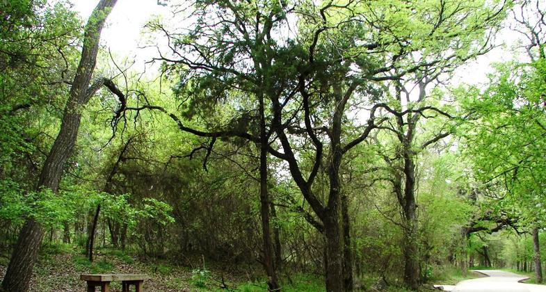 Leon Creek Greenway