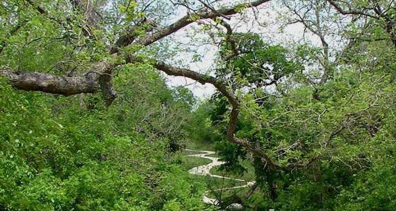 2020 NRT Photo Contest Winner - Bicycling. Photo by Brandon Ross.