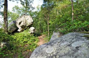 Oak Mountain Red Trail