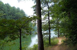 Overmountain Victory Trail