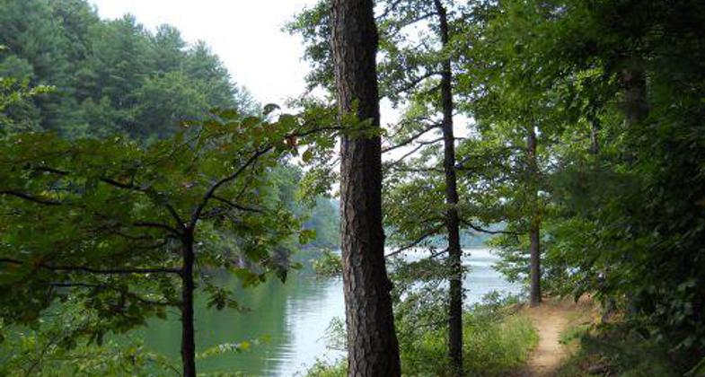 Trail meandors along the shore of W. Kerr Scott Reservoir.