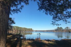 Scottsboro City Park Walking Trail